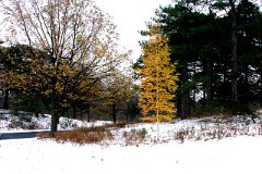 photo 0235